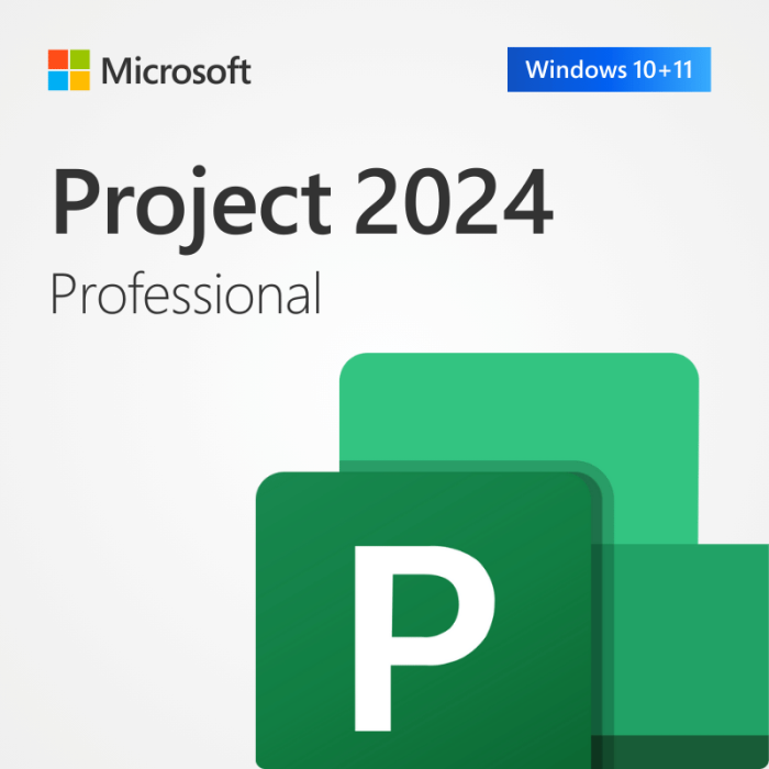 Licencia Project Pro 2024 para 1 PC (Reinstalable)